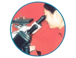 Metallographic analyzer
