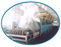 BL5 Series continuous tempering furnace
